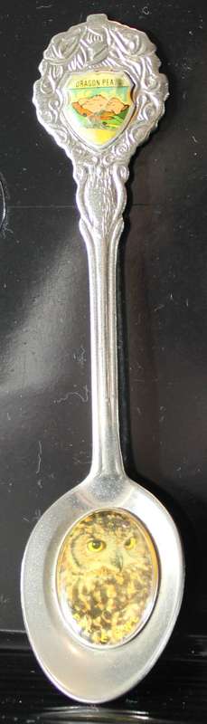 Souvenir tea spoon - Dragon Peaks