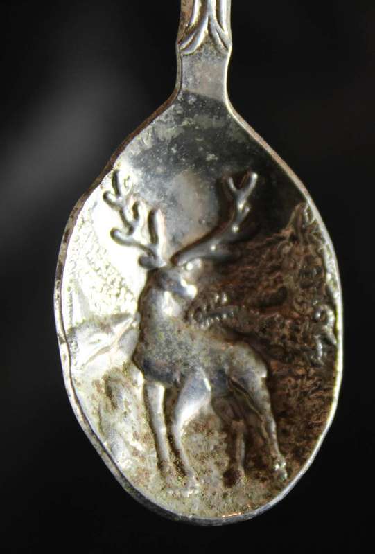 Souvenir tea spoon - Heidelberg embossed