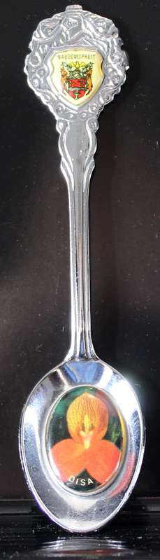 Souvenir teaspoon - Naboomspruit