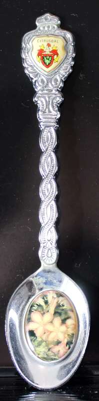 Souvenir teaspoon - Citrusdal