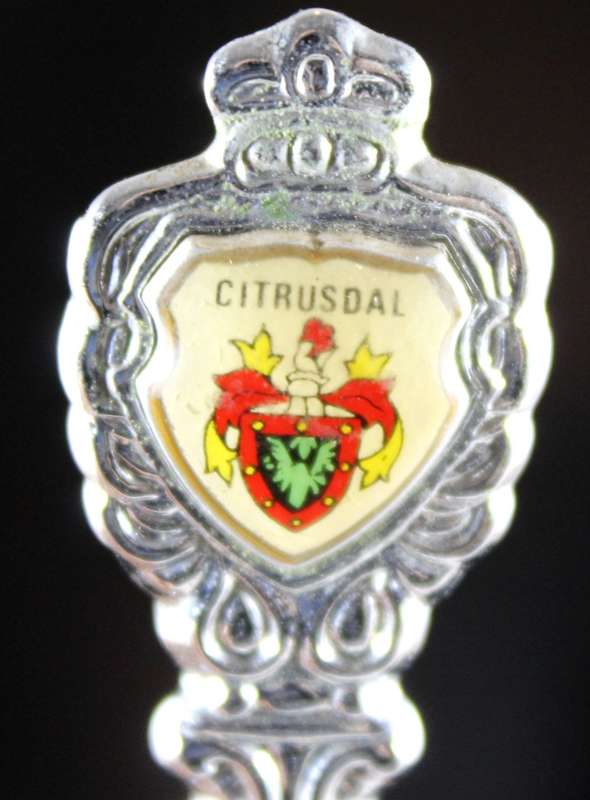 Souvenir teaspoon - Citrusdal