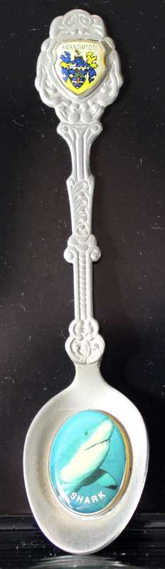 Souvenir teaspoon - Amanzimtoti