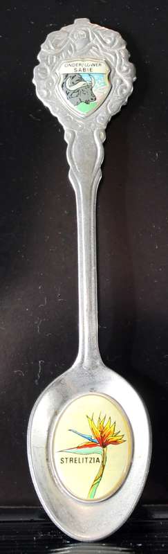 Souvenir teaspoon - Lower Sabie