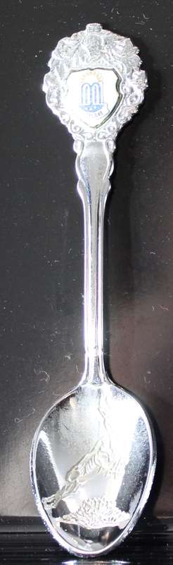 Souvenir teaspoon - Badplaas