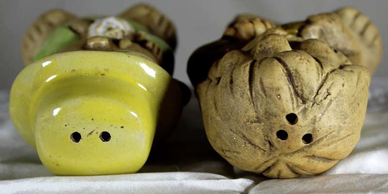 Pair of salt & pepper duck shakers - two naughty children