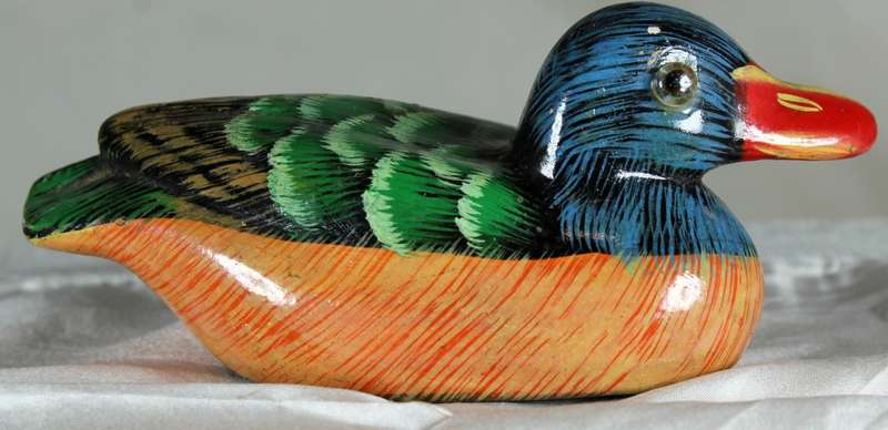 Red billed duck
