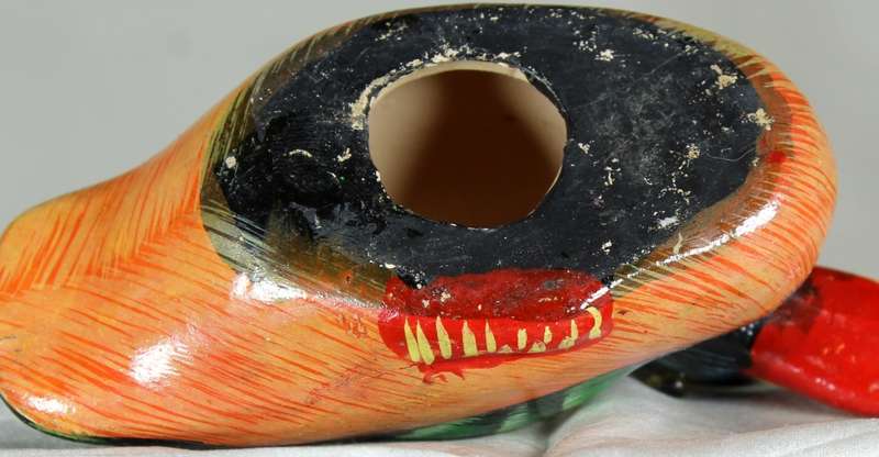 Red billed duck