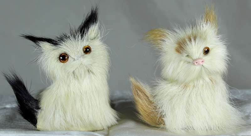 Pair of small fluffy kittens