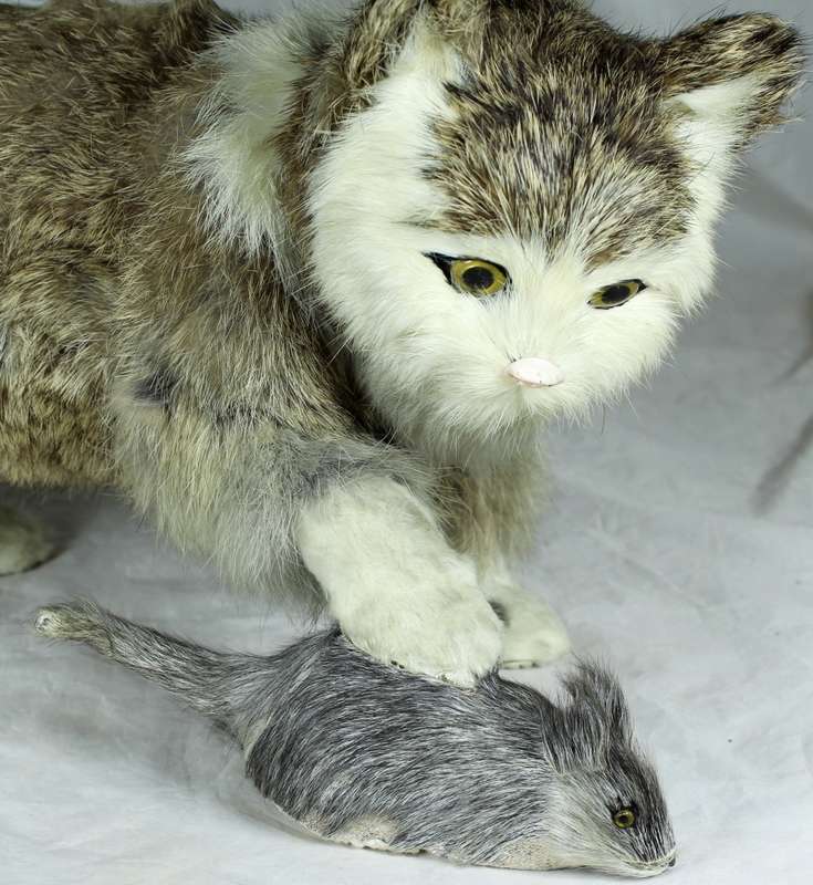 Large fluffy cat catching a mouse