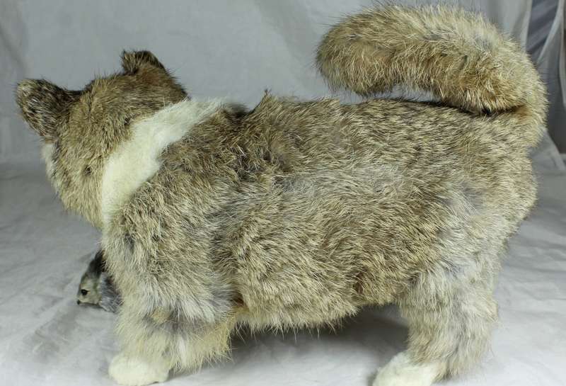 Large fluffy cat catching a mouse