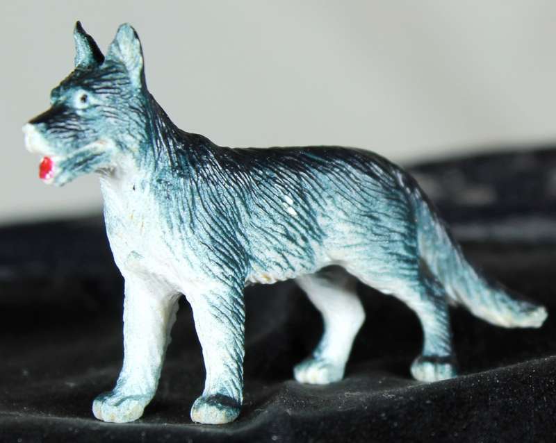 Miniature Husky