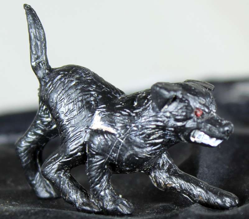 Miniature Angry Dog