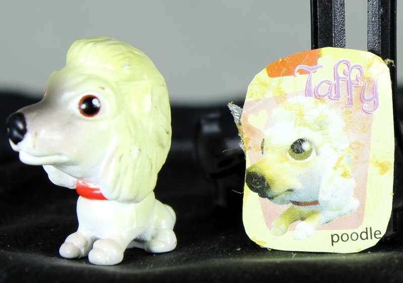 Snubbies Collection 1 - Taffy - Poodle