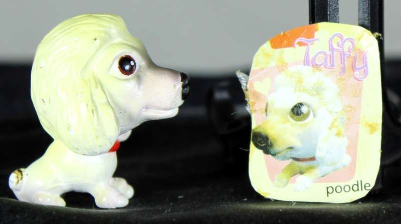 Snubbies Collection 1 - Taffy - Poodle