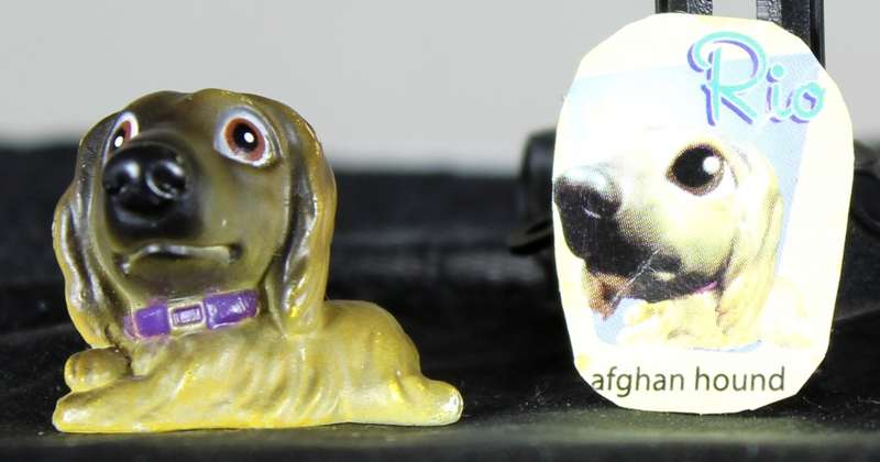Snubbies Collection 1 - Rio - Afghan Hound
