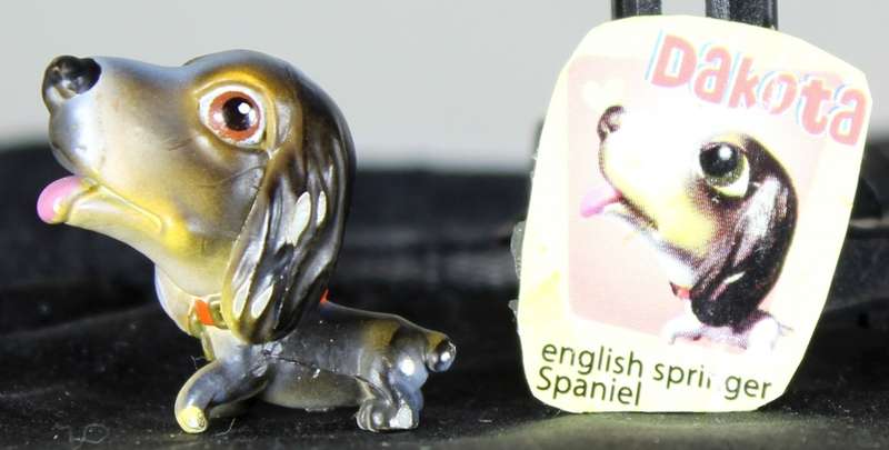 Snubbies Collection 1 - Dakota - English Springer Spaniel