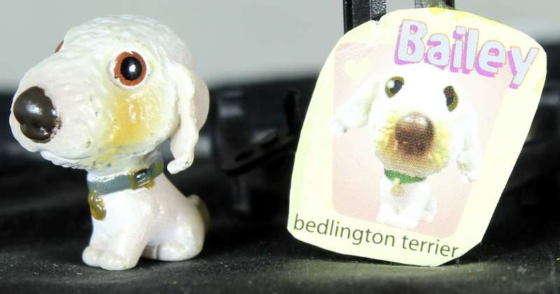 Snubbies Collection 1 - Bailey - Bedlington Terrier