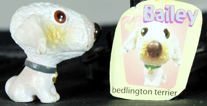 Snubbies Collection 1 - Bailey - Bedlington Terrier