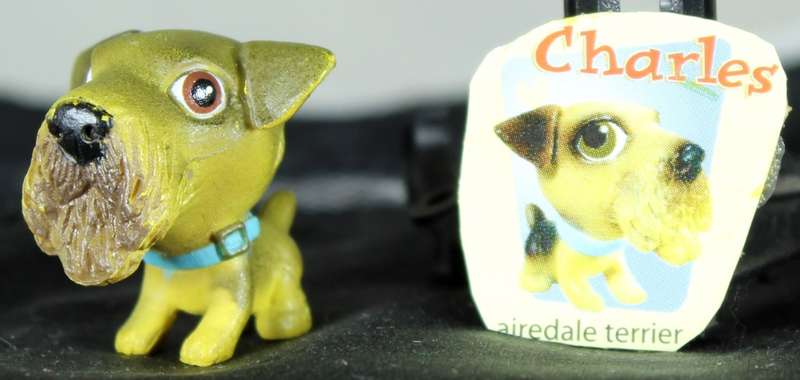 Snubbies Collection 1 - Charles - Airedale Terrier