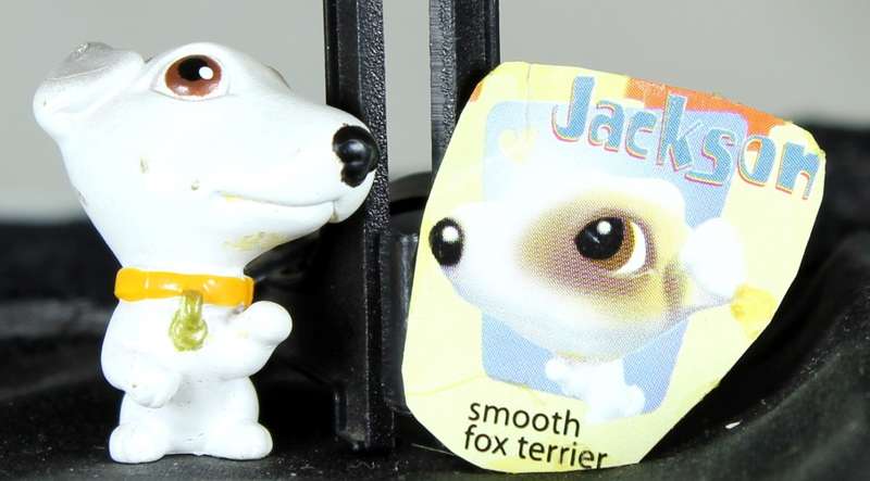 Snubbies Collection 1 - Jackson - Smooth Fox Terrier