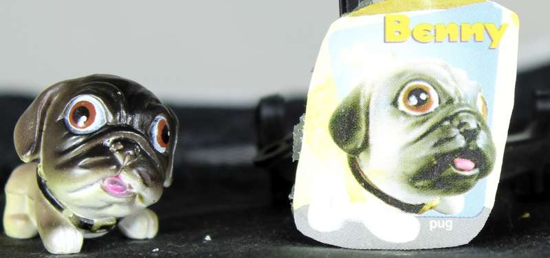 Snubbies Collection 1 - Benny - Pug