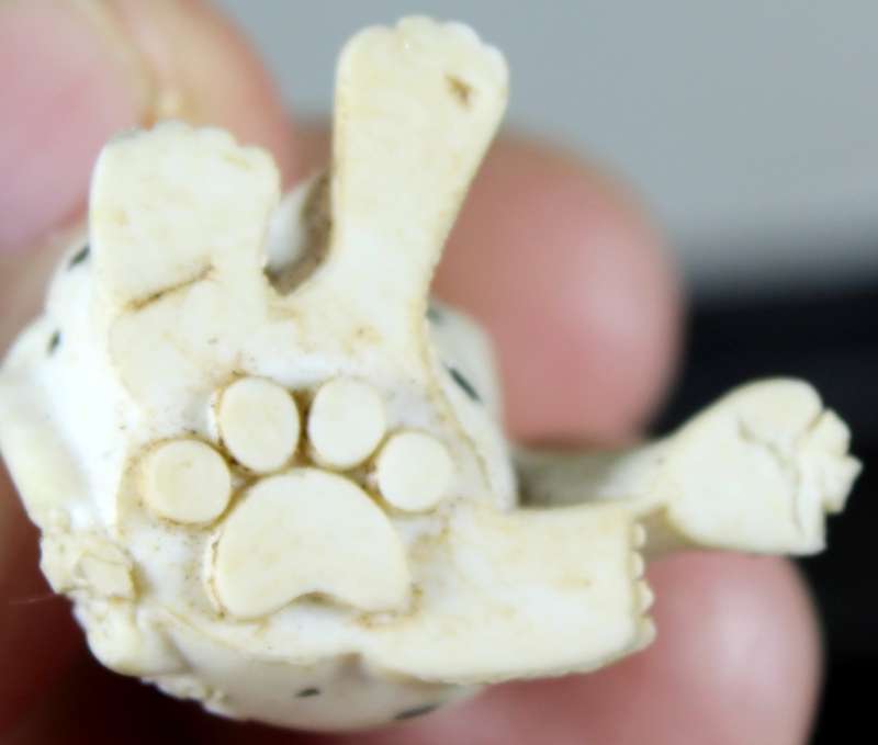 Miniature dalmatian puppy