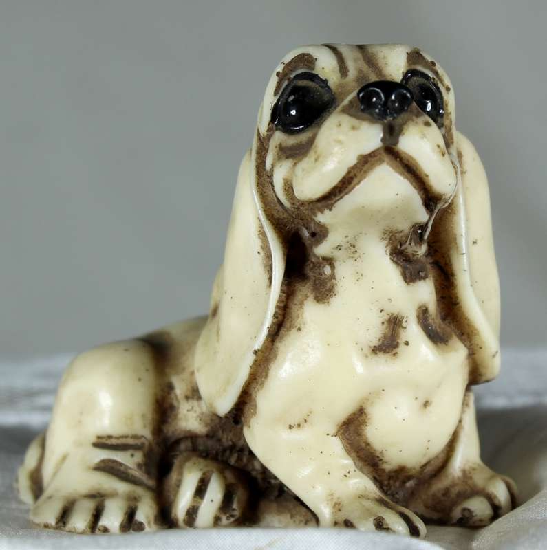 Small basset hound