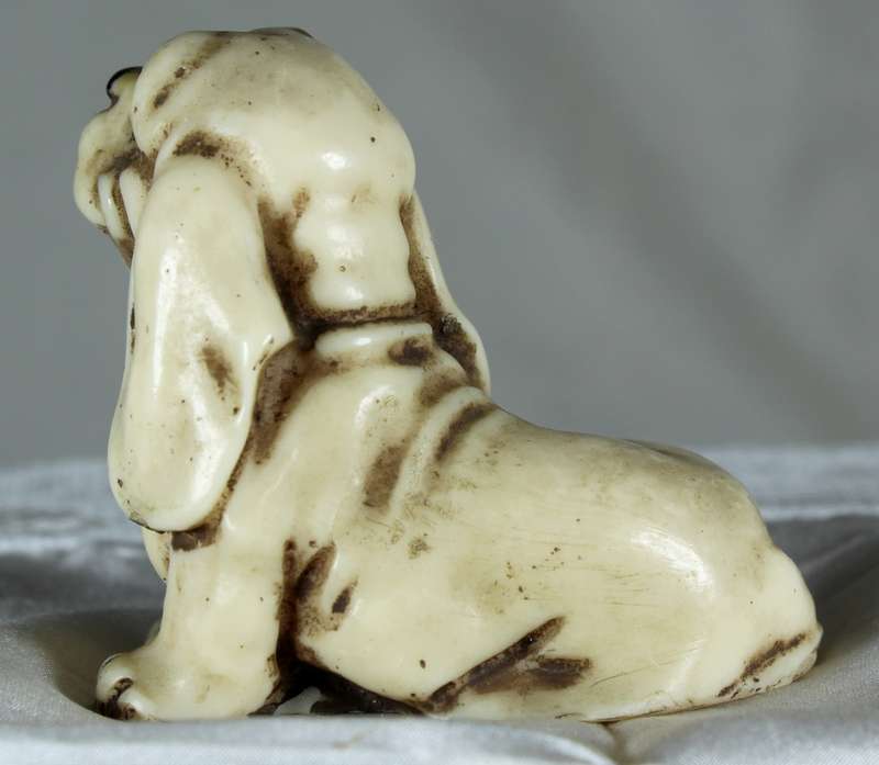 Small basset hound