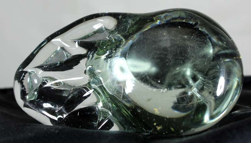 Glass Duck