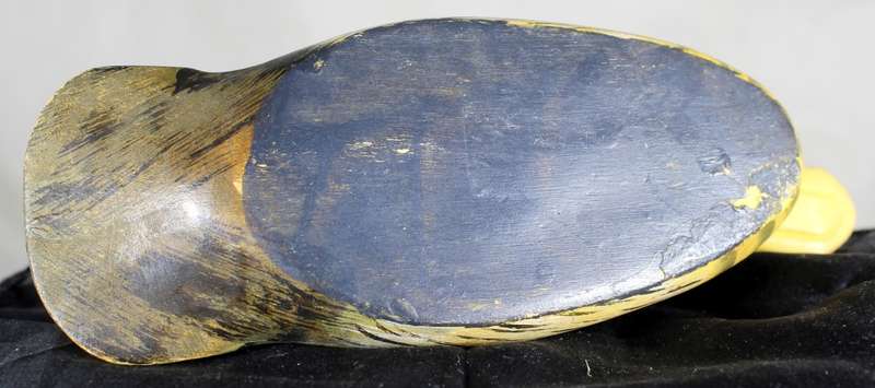 Molded Duck