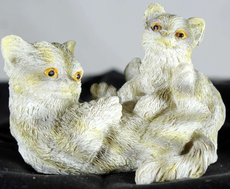 Small Cats Playing