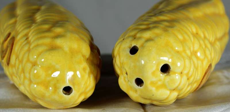 Character  Salt & Pepper Set - Mielies