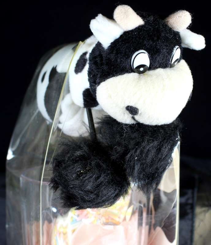 Little Cow Gift Pack
