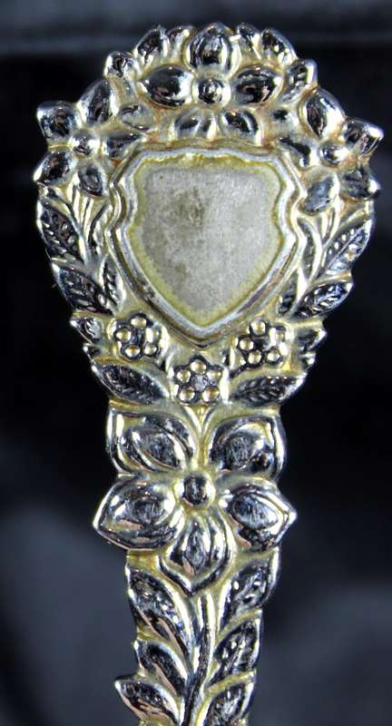 Souvenir Sugar Spoon - Highly Relieved Animals