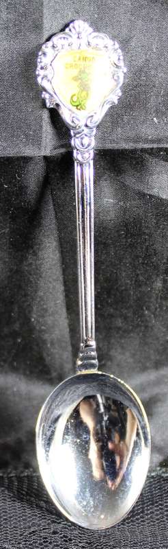 Souvenir Teaspoon - Cango Crocodile Ranch