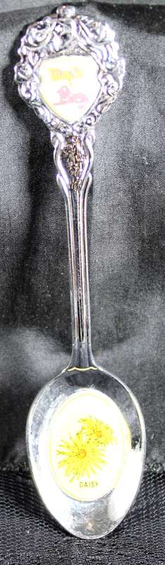 Souvenir Teaspoon - Taung Sun