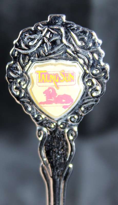 Souvenir Teaspoon - Taung Sun