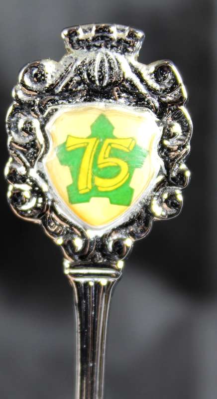 Souvenir Teaspoon - SADF 75 Years