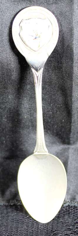 Souvenir Teaspoon - Kirschtenbosch