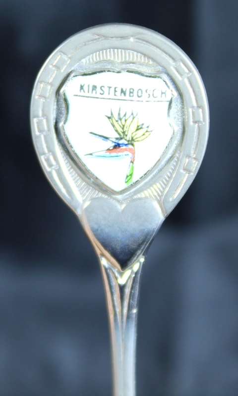 Souvenir Teaspoon - Kirschtenbosch