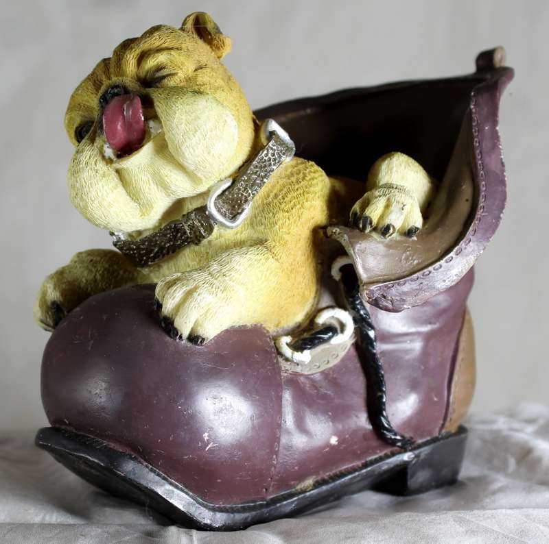 Bulldog Puppy in a Shoe - BID NOW!!!