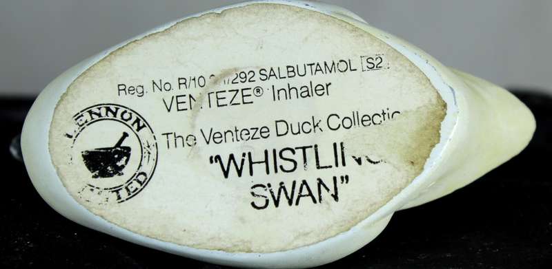 Venteze Duck Collection - Whistling Swan - BID NOW!!!