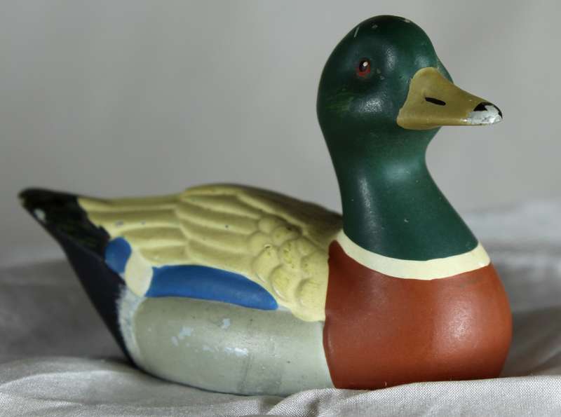Venteze Duck Collection - Mallard - BID NOW!!!