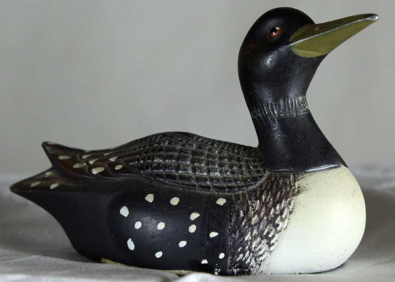 Venteze Duck Collection - Common Loon - BID NOW!!!