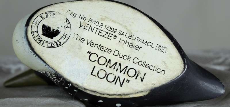 Venteze Duck Collection - Common Loon - BID NOW!!!