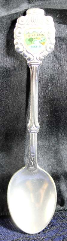 Souvenir Tea Spoon - Winterton Tugela