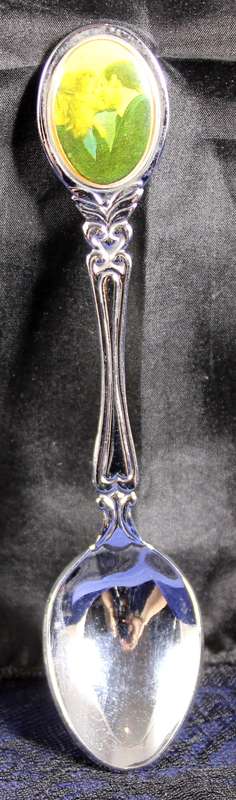 Souvenir Tea Spoon - Prince Andrew Kissing Sarah