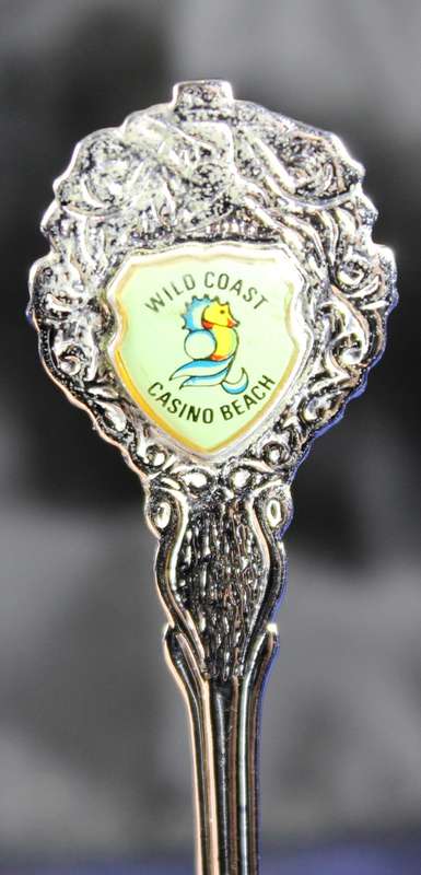Souvenir Tea Spoon - Wild Coast Casino Beach