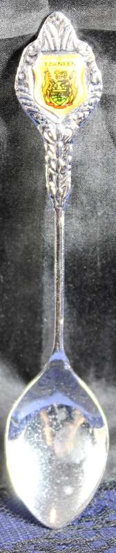 Souvenir Tea Spoon - Tzaneen