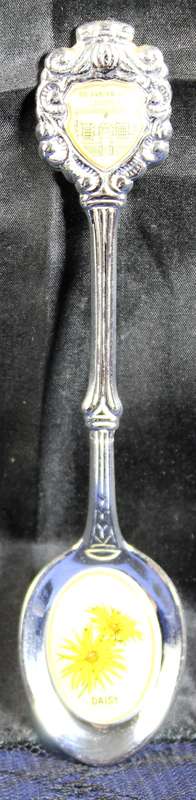 Souvenir Tea Spoon - Die Hantam Huis Calvinia